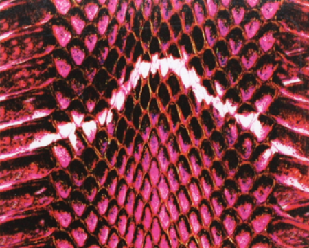 Snake Skin Sticker 04