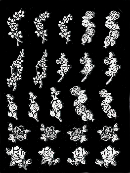 White "Roses"