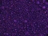 Color Pigmente -AUSWAHL-