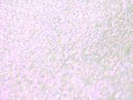 Pure Diamonds Violet