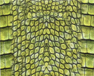 Snake Skin Sticker 05
