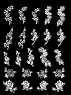 White "Roses"